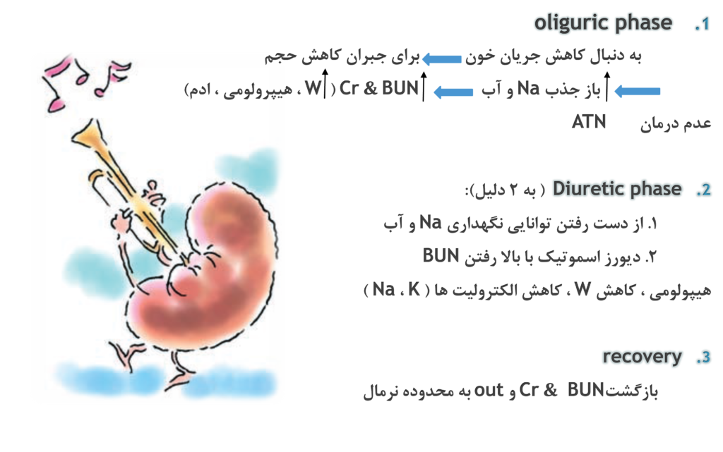 فازهای نارسایی حاد