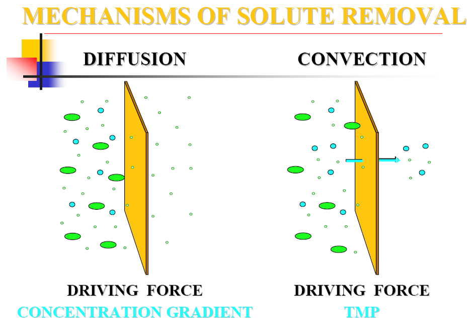 mechanisms of solute removal