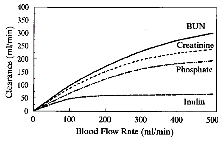 Small solute clearance depends on blood flow rate