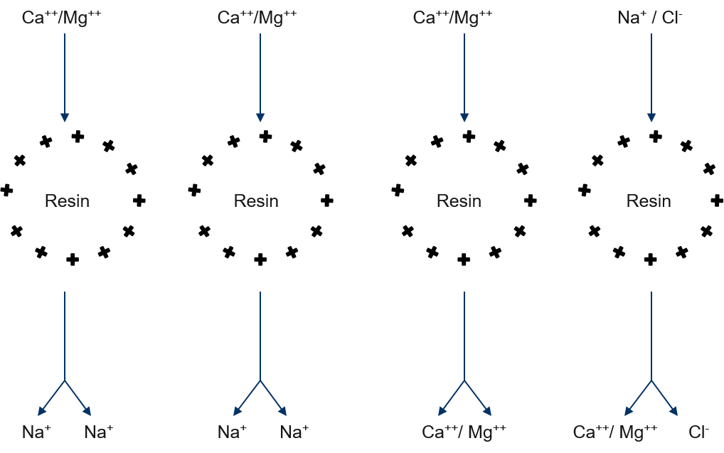 What happens in the softener?