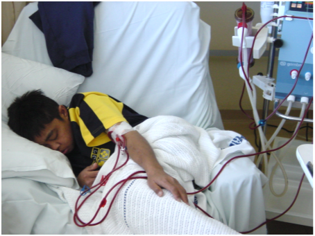 آماده سازی آب جهت همودیالیز و مایع دیالیز