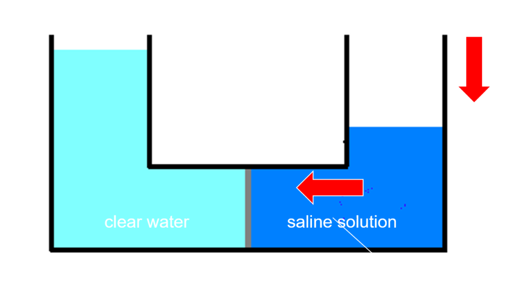 Principle of Reverse Osmosis