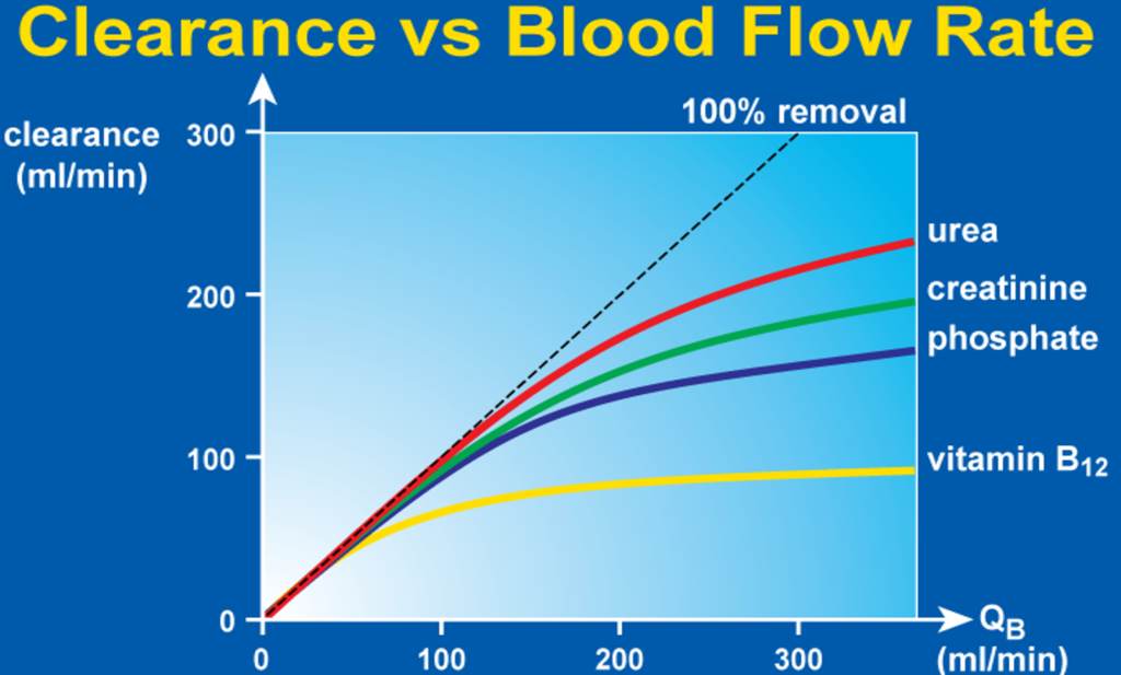 کلیر انس صافی