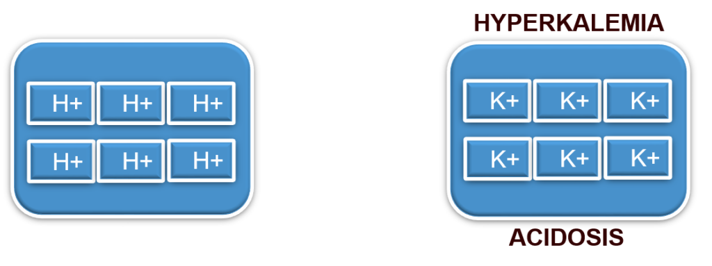 HYPERKALEMIA& ACIDOSIS