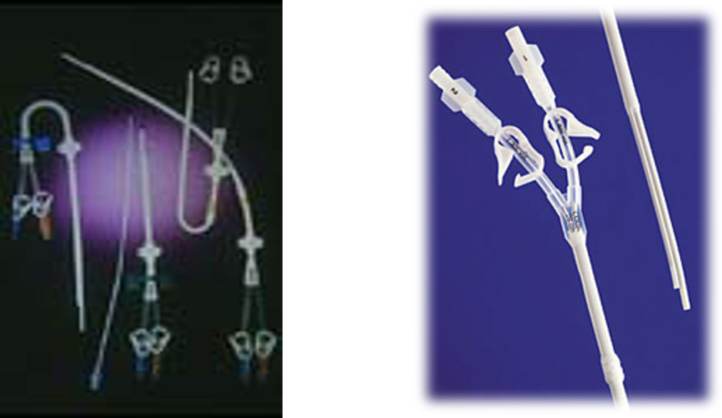 Hemodialysis Catheters