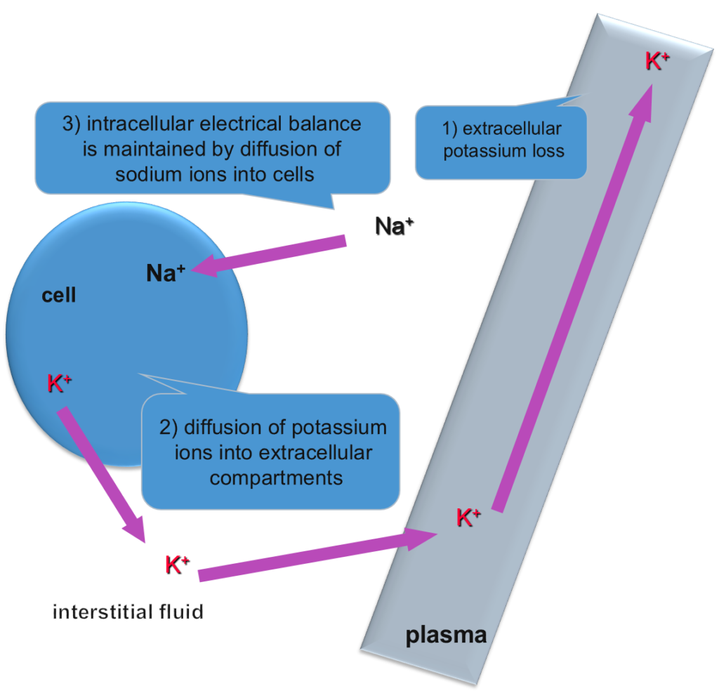 POTASSIUM ION LOSS