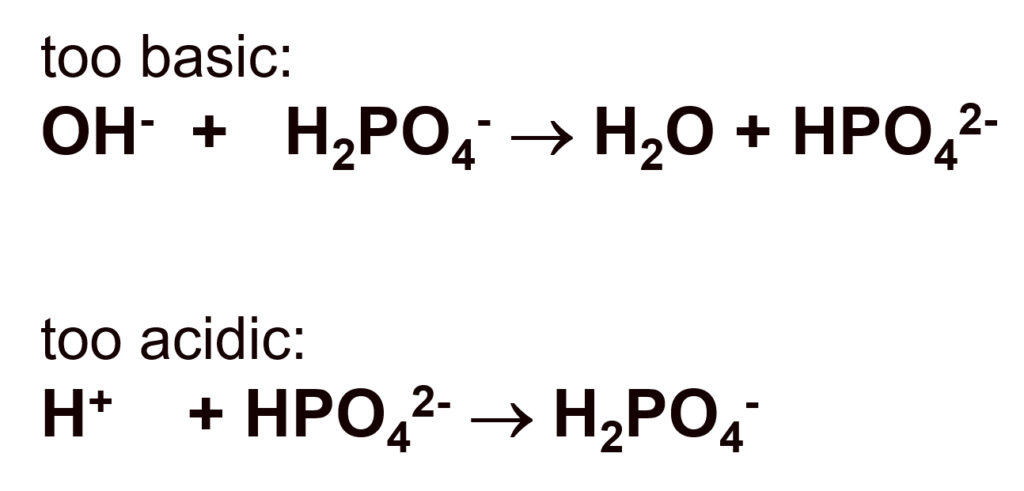 Phosphate Buffering System