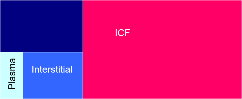 Why all the Physiology Stuff?