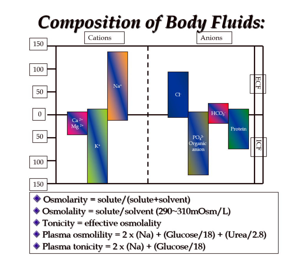 Electrolyte and protein anion concentrations in plasma, interstitial fluid, & intercellular fluid