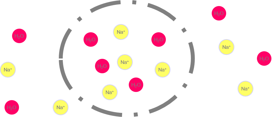 CELL MEMBRANE PERMEABILITY