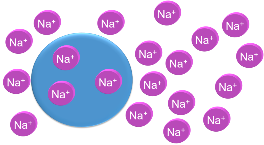 SODIUM PRINCIPLES