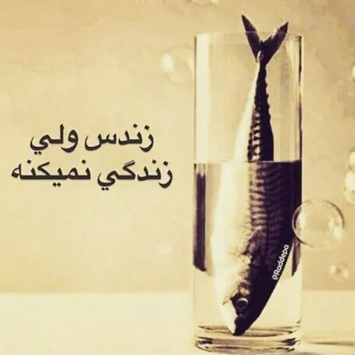 زنده است ولی زندگی نمیکنه