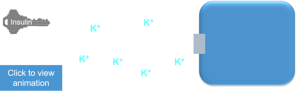 شیفتهای داخل و خارج سلولی